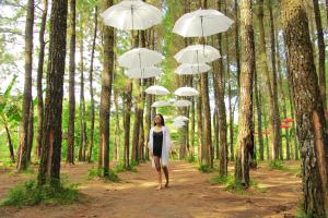Gambar 8